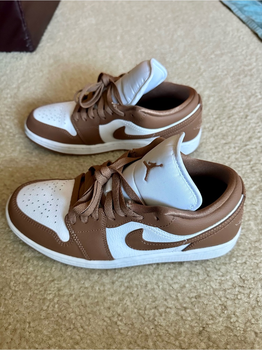 Jordan Low Top Sneakers